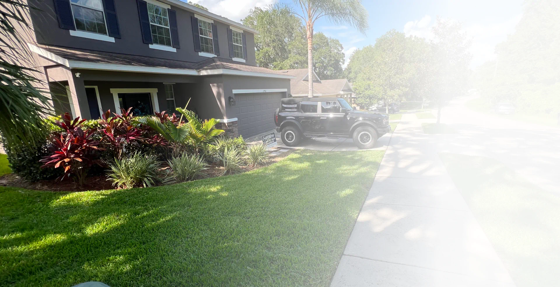 What We Do Background