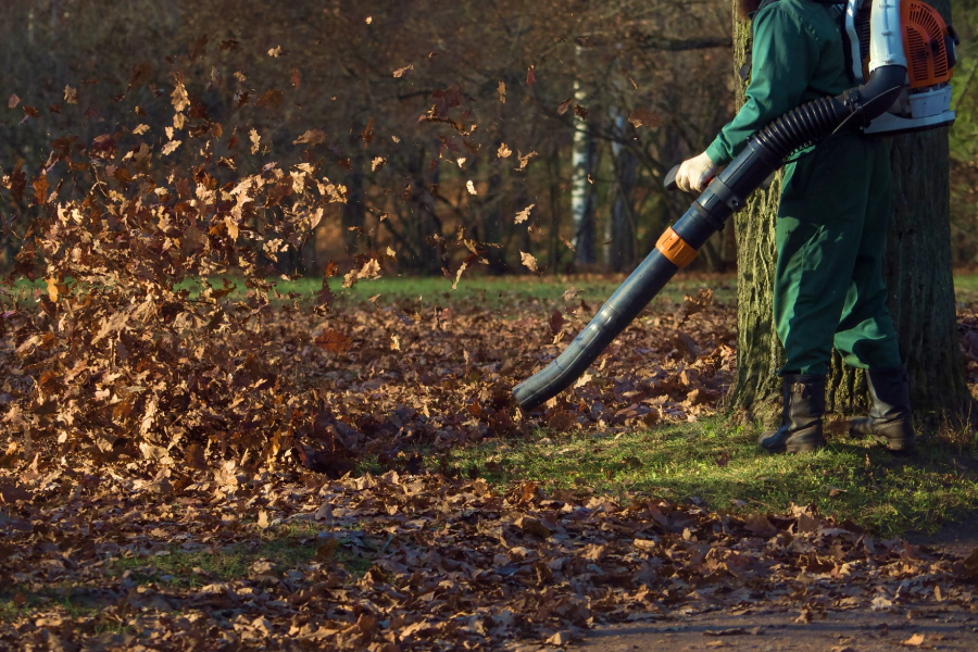leaf removal service